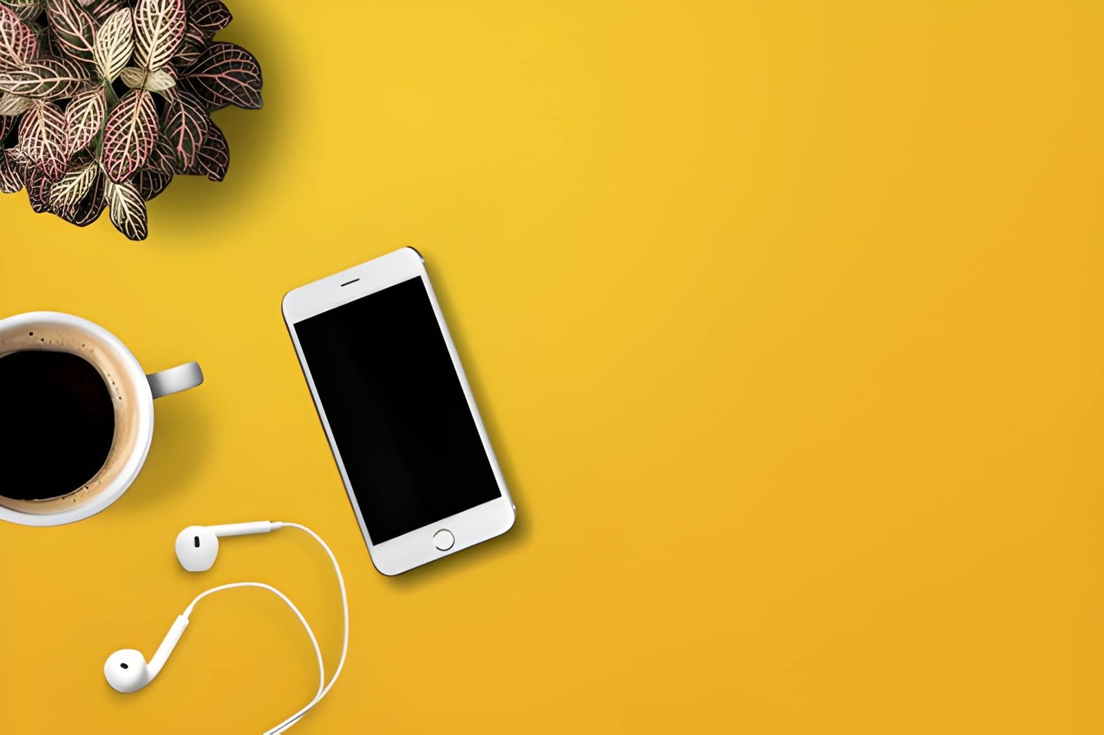 Mobiles & Accessories